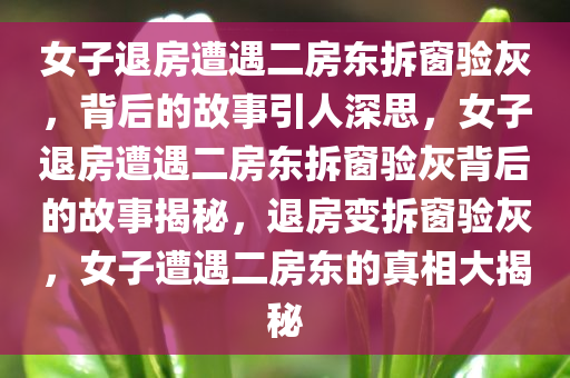 女子退房遭遇二房东拆窗验灰，背后的故事引人深思，女子退房遭遇二房东拆窗验灰背后的故事揭秘，退房变拆窗验灰，女子遭遇二房东的真相大揭秘