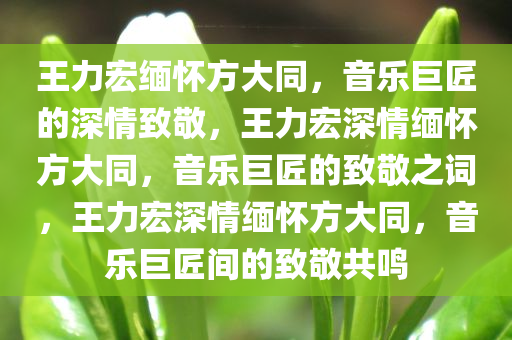 王力宏缅怀方大同，音乐巨匠的深情致敬，王力宏深情缅怀方大同，音乐巨匠的致敬之词，王力宏深情缅怀方大同，音乐巨匠间的致敬共鸣