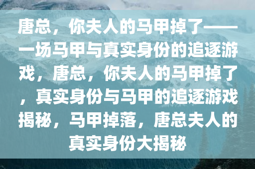 唐总，你夫人的马甲掉了——一场马甲与真实身份的追逐游戏，唐总，你夫人的马甲掉了，真实身份与马甲的追逐游戏揭秘，马甲掉落，唐总夫人的真实身份大揭秘