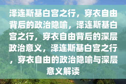 泽连斯基白宫之行，穿衣自由背后的政治隐喻，泽连斯基白宫之行，穿衣自由背后的深层政治意义，泽连斯基白宫之行，穿衣自由的政治隐喻与深层意义解读