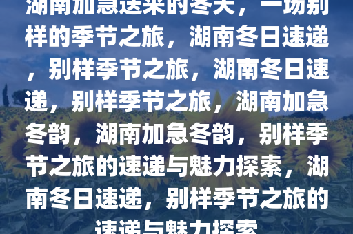 湖南加急送来的冬天，一场别样的季节之旅，湖南冬日速递，别样季节之旅，湖南冬日速递，别样季节之旅，湖南加急冬韵，湖南加急冬韵，别样季节之旅的速递与魅力探索，湖南冬日速递，别样季节之旅的速递与魅力探索