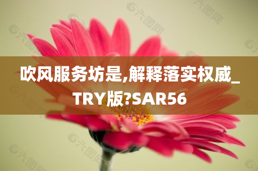 吹风服务坊是,解释落实权威_TRY版?SAR56