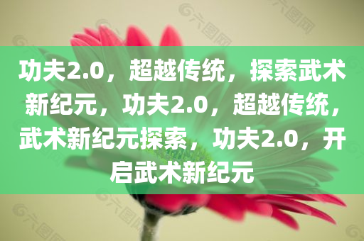 功夫2.0，超越传统，探索武术新纪元，功夫2.0，超越传统，武术新纪元探索，功夫2.0，开启武术新纪元