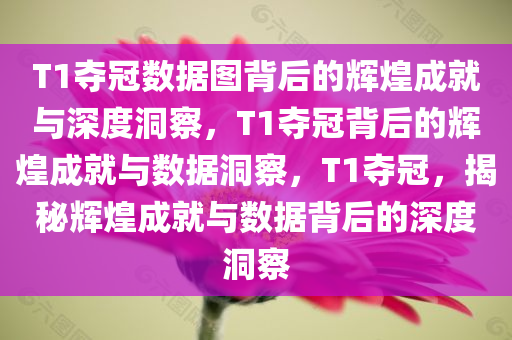 T1夺冠数据图背后的辉煌成就与深度洞察，T1夺冠背后的辉煌成就与数据洞察，T1夺冠，揭秘辉煌成就与数据背后的深度洞察