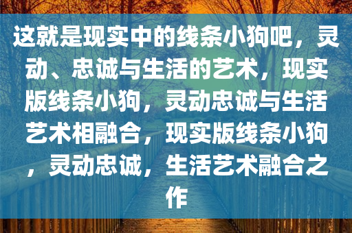 这就是现实中的线条小狗吧，灵动、忠诚与生活的艺术，现实版线条小狗，灵动忠诚与生活艺术相融合，现实版线条小狗，灵动忠诚，生活艺术融合之作