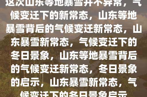 这次山东等地暴雪并不异常，气候变迁下的新常态，山东等地暴雪背后的气候变迁新常态，山东暴雪新常态，气候变迁下的冬日景象，山东等地暴雪背后的气候变迁新常态，冬日景象的启示，山东暴雪新常态，气候变迁下的冬日景象启示