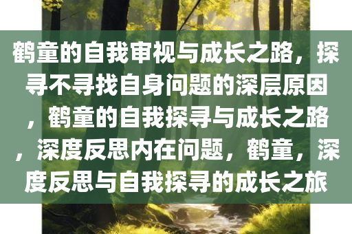 鹤童的自我审视与成长之路，探寻不寻找自身问题的深层原因，鹤童的自我探寻与成长之路，深度反思内在问题，鹤童，深度反思与自我探寻的成长之旅