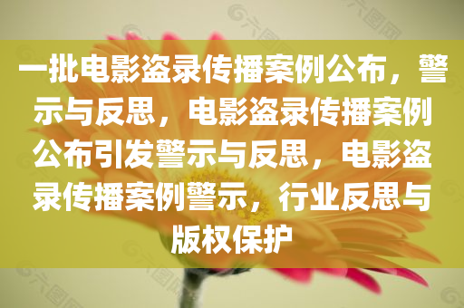 一批电影盗录传播案例公布，警示与反思，电影盗录传播案例公布引发警示与反思，电影盗录传播案例警示，行业反思与版权保护