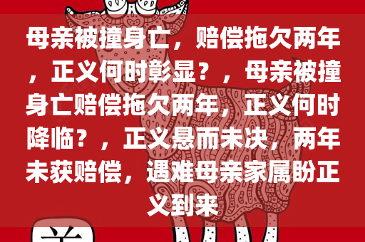 母亲被撞身亡，赔偿拖欠两年，正义何时彰显？，母亲被撞身亡赔偿拖欠两年，正义何时降临？，正义悬而未决，两年未获赔偿，遇难母亲家属盼正义到来