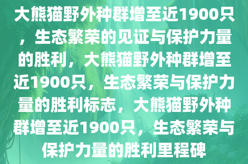 大熊猫野外种群增至近1900只，生态繁荣的见证与保护力量的胜利，大熊猫野外种群增至近1900只，生态繁荣与保护力量的胜利标志，大熊猫野外种群增至近1900只，生态繁荣与保护力量的胜利里程碑