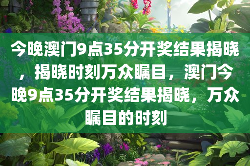 今晚澳门9点35分开奖结果揭晓，揭晓时刻万众瞩目，澳门今晚9点35分开奖结果揭晓，万众瞩目的时刻