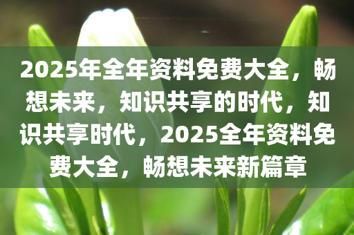 2025年全年资料免费大全，畅想未来，知识共享的时代，知识共享时代，2025全年资料免费大全，畅想未来新篇章