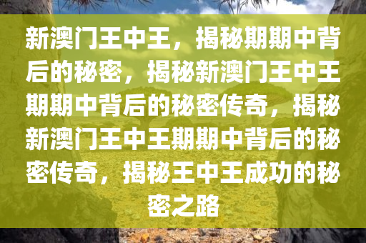 新澳门王中王，揭秘期期中背后的秘密，揭秘新澳门王中王期期中背后的秘密传奇，揭秘新澳门王中王期期中背后的秘密传奇，揭秘王中王成功的秘密之路