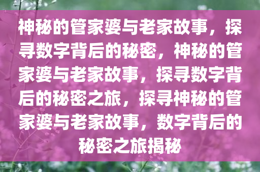 神秘的管家婆与老家故事，探寻数字背后的秘密，神秘的管家婆与老家故事，探寻数字背后的秘密之旅，探寻神秘的管家婆与老家故事，数字背后的秘密之旅揭秘