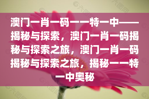 澳门一肖一码一一特一中——揭秘与探索，澳门一肖一码揭秘与探索之旅，澳门一肖一码揭秘与探索之旅，揭秘一一特一中奥秘