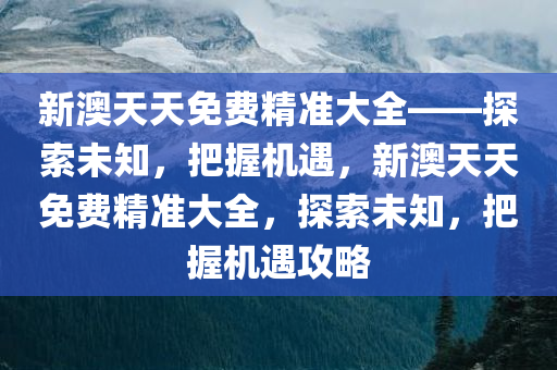 新澳天天免费精准大全——探索未知，把握机遇，新澳天天免费精准大全，探索未知，把握机遇攻略