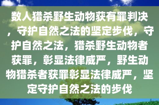 数人猎杀野生动物获有罪判决，守护自然之法的坚定步伐，守护自然之法，猎杀野生动物者获罪，彰显法律威严，野生动物猎杀者获罪彰显法律威严，坚定守护自然之法的步伐