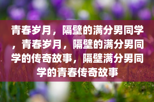 青春岁月，隔壁的满分男同学，青春岁月，隔壁的满分男同学的传奇故事，隔壁满分男同学的青春传奇故事