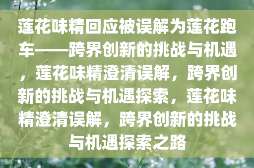 莲花味精回应被误解为莲花跑车——跨界创新的挑战与机遇，莲花味精澄清误解，跨界创新的挑战与机遇探索，莲花味精澄清误解，跨界创新的挑战与机遇探索之路