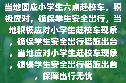 当地回应小学生六点赶校车，积极应对，确保学生安全出行，当地积极应对小学生赶校车现象，确保学生安全出行措施出台，当地应对小学生赶校车现象，确保学生安全出行措施出台，保障出行无忧