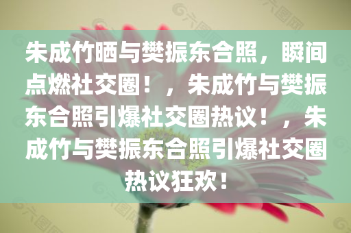 朱成竹晒与樊振东合照，瞬间点燃社交圈！，朱成竹与樊振东合照引爆社交圈热议！，朱成竹与樊振东合照引爆社交圈热议狂欢！