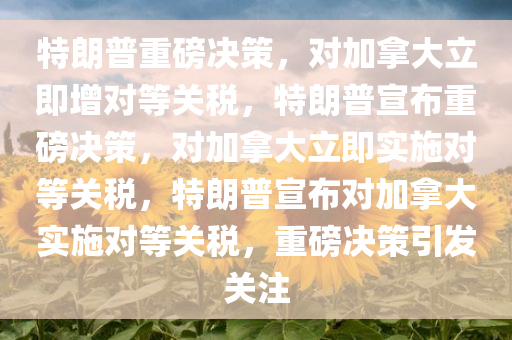 特朗普重磅决策，对加拿大立即增对等关税，特朗普宣布重磅决策，对加拿大立即实施对等关税，特朗普宣布对加拿大实施对等关税，重磅决策引发关注