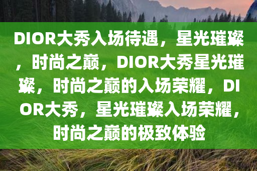 DIOR大秀入场待遇