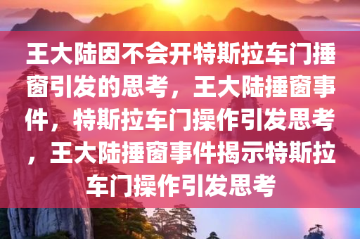 王大陆因不会开特斯拉车门捶窗引发的思考，王大陆捶窗事件，特斯拉车门操作引发思考，王大陆捶窗事件揭示特斯拉车门操作引发思考