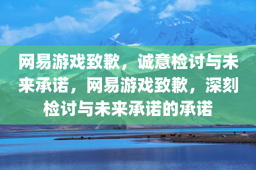 网易游戏致歉，诚意检讨与未来承诺，网易游戏致歉，深刻检讨与未来承诺的承诺