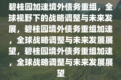 碧桂园加速境外债务重组，全球视野下的战略调整与未来发展，碧桂园境外债务重组加速，全球战略调整与未来发展展望，碧桂园境外债务重组加速，全球战略调整与未来发展展望