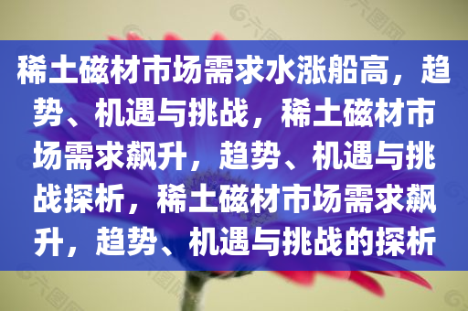 稀土磁材市场需求水涨船高，趋势、机遇与挑战，稀土磁材市场需求飙升，趋势、机遇与挑战探析，稀土磁材市场需求飙升，趋势、机遇与挑战的探析