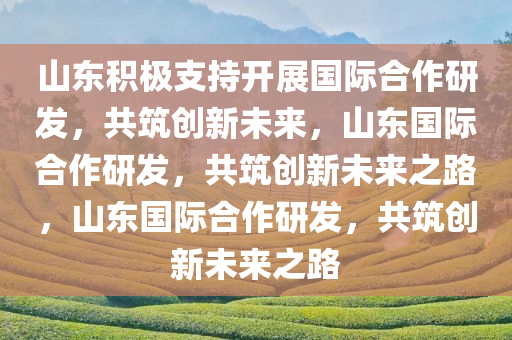 山东积极支持开展国际合作研发，共筑创新未来，山东国际合作研发，共筑创新未来之路，山东国际合作研发，共筑创新未来之路