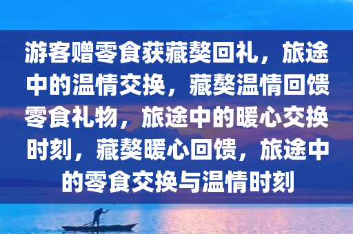 游客赠零食获藏獒回礼，旅途中的温情交换，藏獒温情回馈零食礼物，旅途中的暖心交换时刻，藏獒暖心回馈，旅途中的零食交换与温情时刻