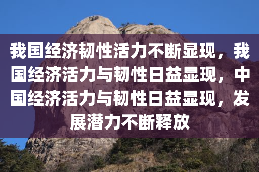 我国经济韧性活力不断显现，我国经济活力与韧性日益显现，中国经济活力与韧性日益显现，发展潜力不断释放