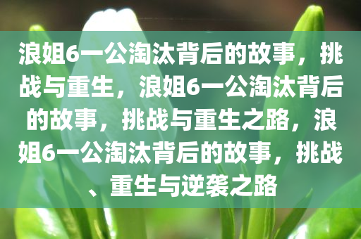 浪姐6一公淘汰背后的故事，挑战与重生，浪姐6一公淘汰背后的故事，挑战与重生之路，浪姐6一公淘汰背后的故事，挑战、重生与逆袭之路