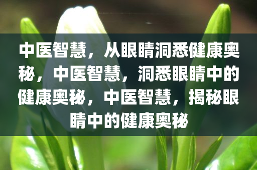 中医智慧，从眼睛洞悉健康奥秘，中医智慧，洞悉眼睛中的健康奥秘，中医智慧，揭秘眼睛中的健康奥秘