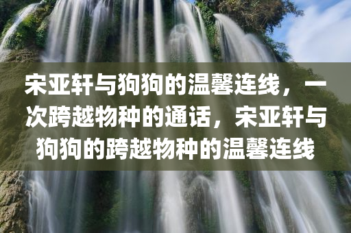 宋亚轩与狗狗的温馨连线，一次跨越物种的通话，宋亚轩与狗狗的跨越物种的温馨连线