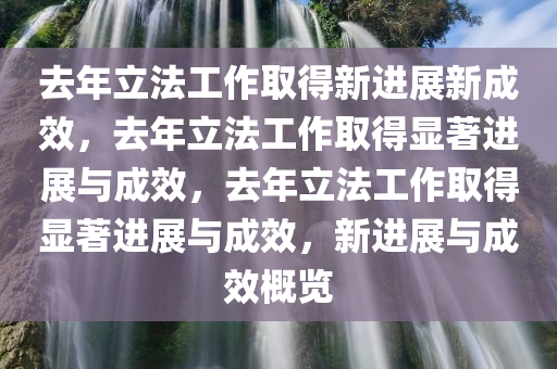 去年立法工作取得新进展新成效，去年立法工作取得显著进展与成效，去年立法工作取得显著进展与成效，新进展与成效概览