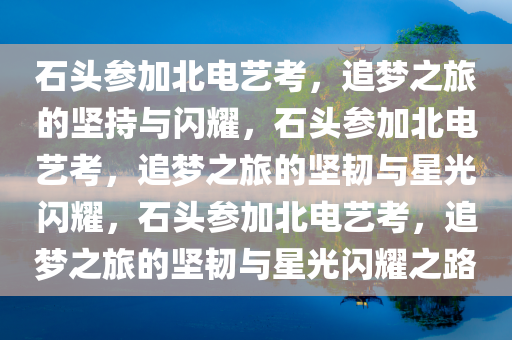 石头参加北电艺考，追梦之旅的坚持与闪耀，石头参加北电艺考，追梦之旅的坚韧与星光闪耀，石头参加北电艺考，追梦之旅的坚韧与星光闪耀之路