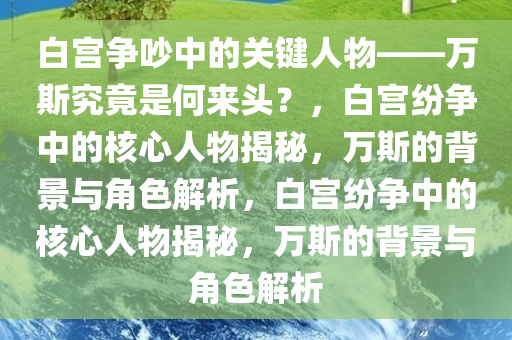 白宫争吵中的关键人物——万斯究竟是何来头？，白宫纷争中的核心人物揭秘，万斯的背景与角色解析，白宫纷争中的核心人物揭秘，万斯的背景与角色解析