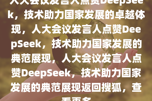 人大会议发言人点赞DeepSeek，技术助力国家发展的卓越体现，人大会议发言人点赞DeepSeek，技术助力国家发展的典范展现，人大会议发言人点赞DeepSeek，技术助力国家发展的典范展现返回搜狐，查看更多