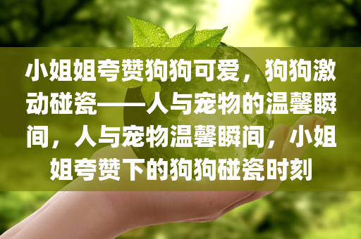 小姐姐夸赞狗狗可爱，狗狗激动碰瓷——人与宠物的温馨瞬间，人与宠物温馨瞬间，小姐姐夸赞下的狗狗碰瓷时刻