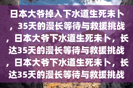 日本大爷掉入下水道生死未卜，35天的漫长等待与救援挑战，日本大爷下水道生死未卜，长达35天的漫长等待与救援挑战，日本大爷下水道生死未卜，长达35天的漫长等待与救援挑战