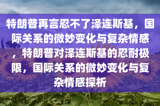 特朗普再言忍不了泽连斯基，国际关系的微妙变化与复杂情感，特朗普对泽连斯基的忍耐极限，国际关系的微妙变化与复杂情感探析