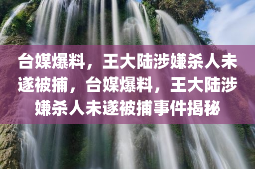 台媒爆料，王大陆涉嫌杀人未遂被捕，台媒爆料，王大陆涉嫌杀人未遂被捕事件揭秘