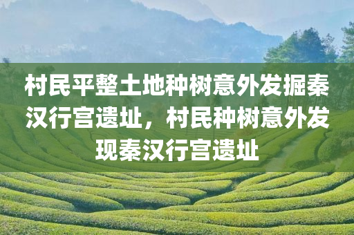 村民平整土地种树意外发掘秦汉行宫遗址，村民种树意外发现秦汉行宫遗址