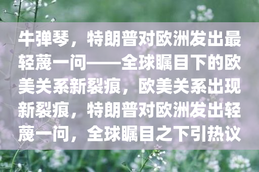 牛弹琴，特朗普对欧洲发出最轻蔑一问——全球瞩目下的欧美关系新裂痕，欧美关系出现新裂痕，特朗普对欧洲发出轻蔑一问，全球瞩目之下引热议