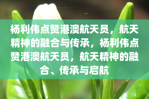 杨利伟点赞港澳航天员，航天精神的融合与传承，杨利伟点赞港澳航天员，航天精神的融合、传承与启航