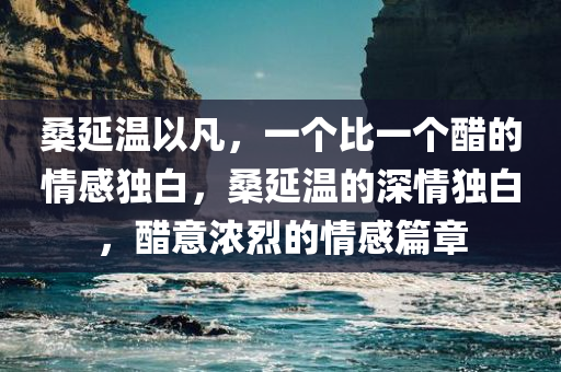 桑延温以凡，一个比一个醋的情感独白，桑延温的深情独白，醋意浓烈的情感篇章