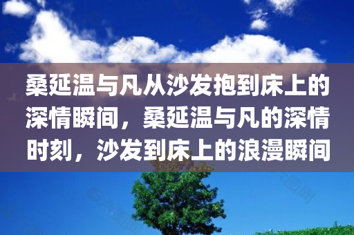 桑延温与凡从沙发抱到床上的深情瞬间，桑延温与凡的深情时刻，沙发到床上的浪漫瞬间